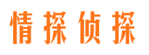 平桥市调查公司